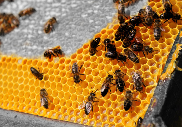 Monsop - Black Bee Honey Soap 120g